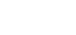 X Fighter